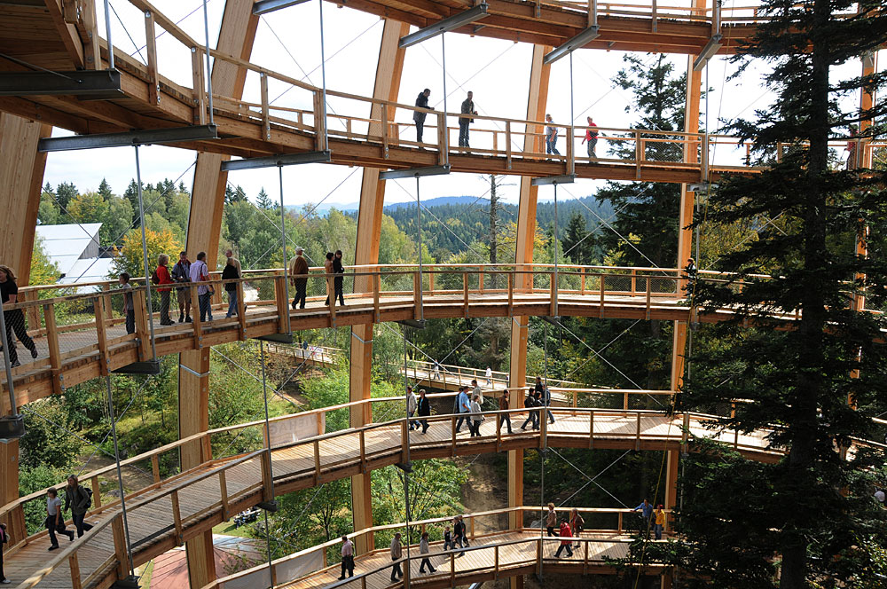 Baumwipfelpfad Bayerischer Wald